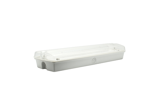 IP65 1.5-3W Emergency LED Bulkhead Lights AC 220V ABS Material