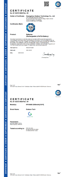 China Godson Technology Co., Ltd certification