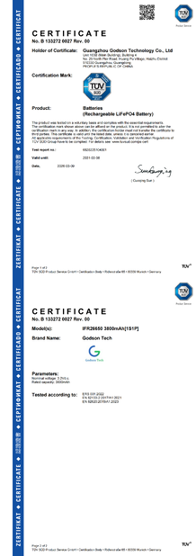 China Godson Technology Co., Ltd certification
